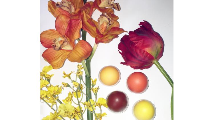 X-rite-Flowers-Dyed-Eggs-72dpi